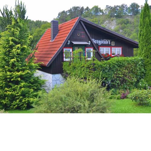 Quaint Holiday Home in Elbingerode near Forest