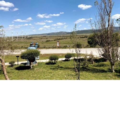 Quercus Facinas