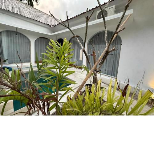 Radin Group Villa