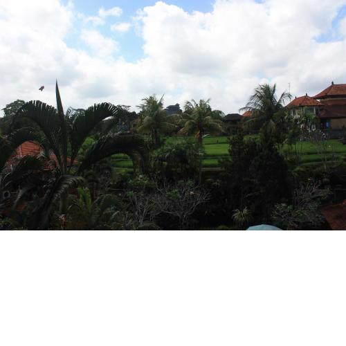 Raditia Homestay