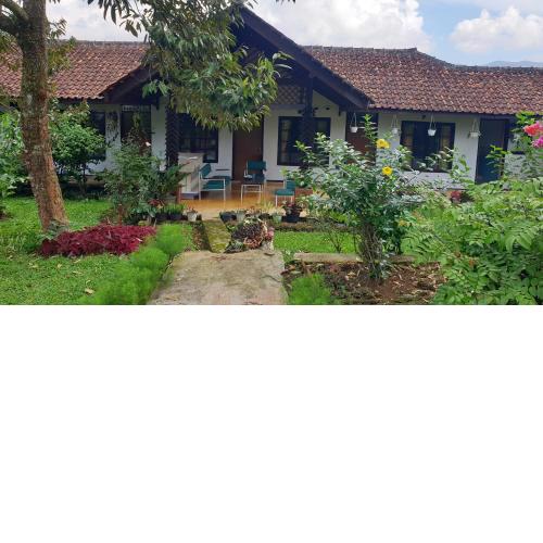Rahayu PanjaluNet Guest House