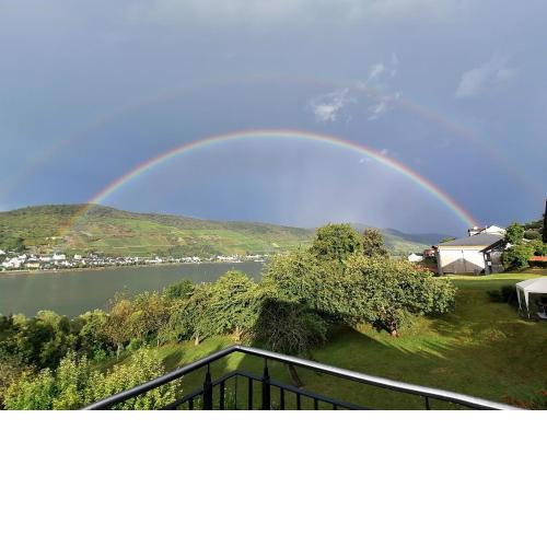 Rainer´s Rheinblick