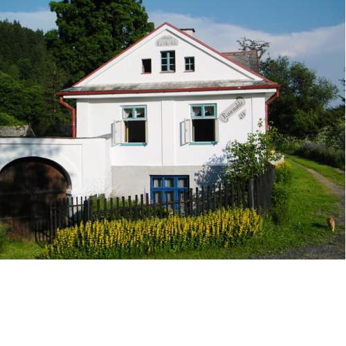 Rainmühle