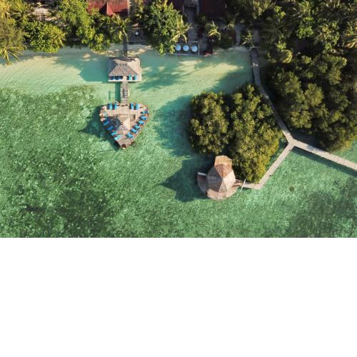 Raja Ampat Dive Lodge