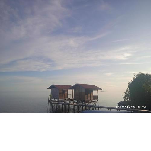 Raja ampat Nemo Homestay