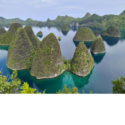 RAJA AMPAT PAKET 4D3N