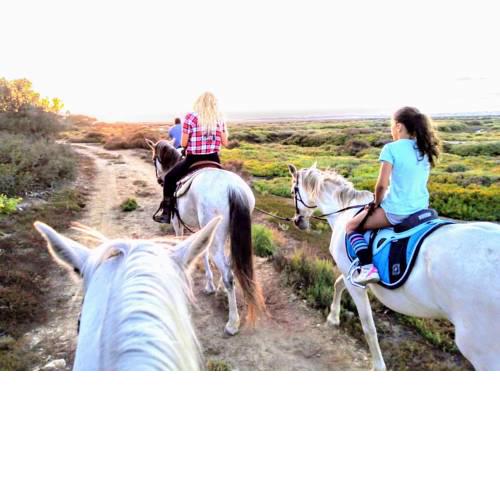 Rancho Texas