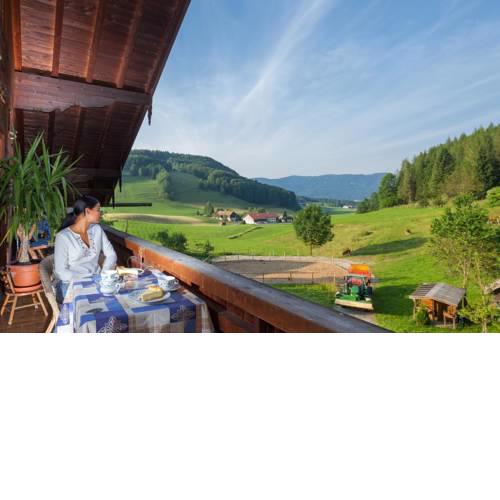 Rauchenbichlhof