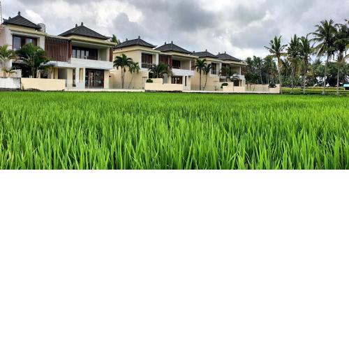 RC ubud villa
