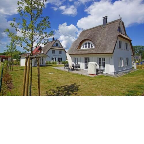 Reet-Hus Hanbutt - a47708