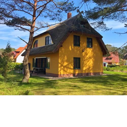 Reetdach-Ferienhaus