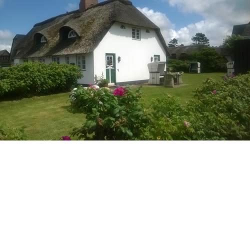 Reetdach Friesenhof Süderende