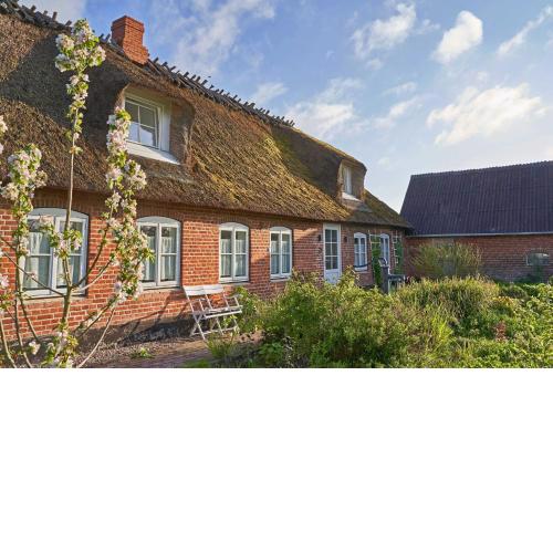 Reetdachhaus De Ole Kaat