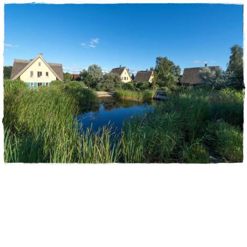 Reetdachhaus Kranich in Krienke