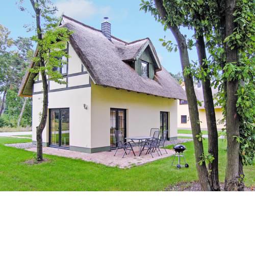 Reetdachhaus mit Sauna, Kamin & Terrasse - D 028.032