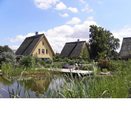 Reetdachhaus Möwe