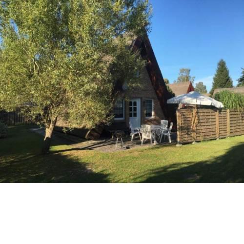 Reetdachhütte im Birkenhain