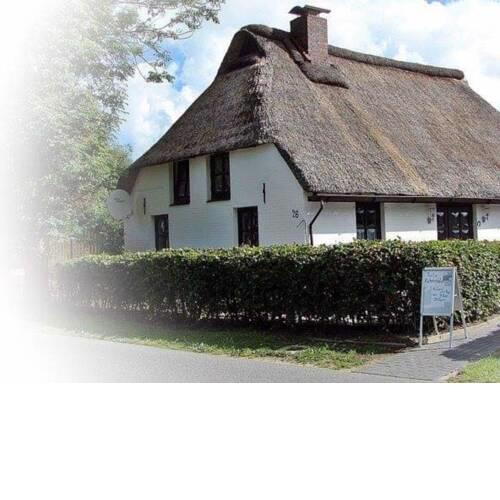 Reethus Friesennest - a49601