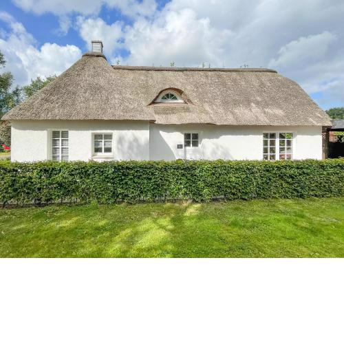 Reethus Rosengarten DIT