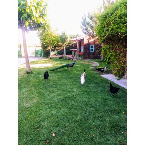 Refugio con Casitas Infantiles