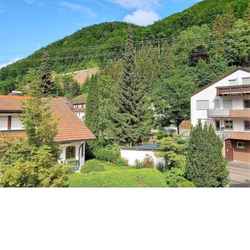 Regal Holiday Home in Geroldsgrün with Garden