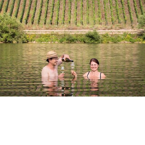 Reis - feine Weine "Am Weingut"