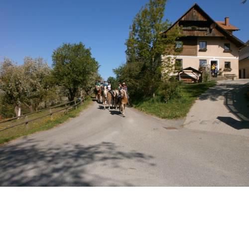 Reitbauernhof Ferner