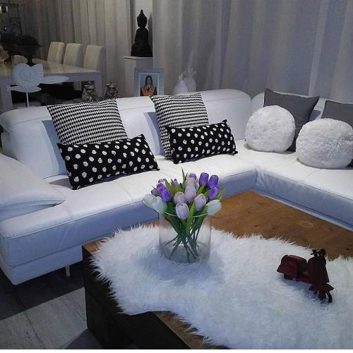 Relax y modernidad
