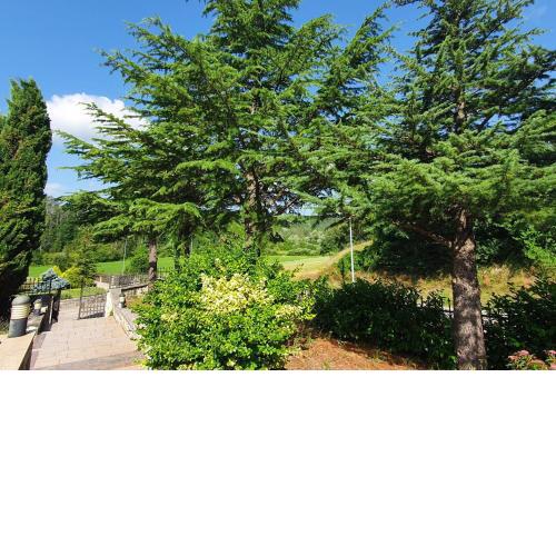 Relaxing apartment Gardens for max 8 persons in green central Istria