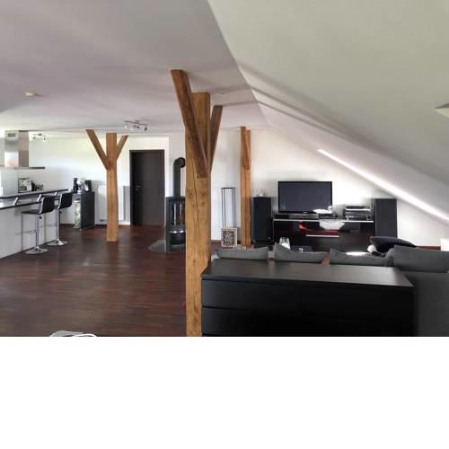 110qm Countryside Loft
