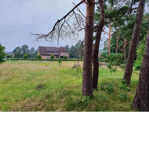 Renata’s B&B Lathen