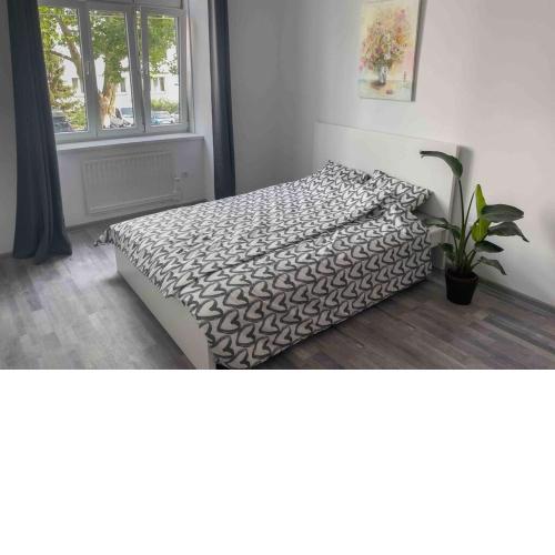 Renovated Cosy Studio near Central Station