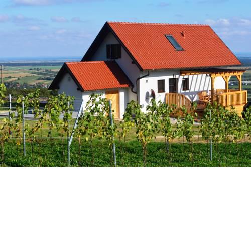 REnthouse - Ferienhaus am Weinberg