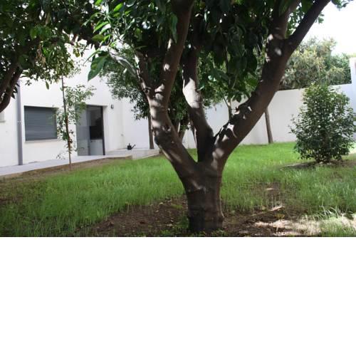 Residencia Mayol - Adults Only