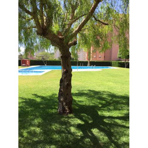 Residencial Vacacional Amado