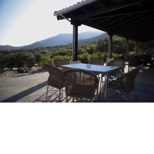 Resort Hípico el Hinojal