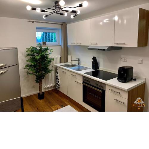 Rhein Apartment Souterrain Wohnung