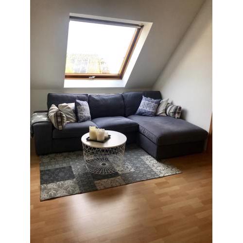 Rheinau Apartment