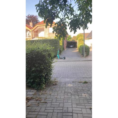 Rheine