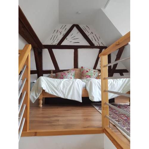 Rheingau - schöne möblierte Ferienwohnung