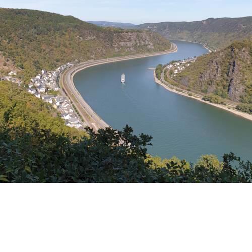 Rheingold