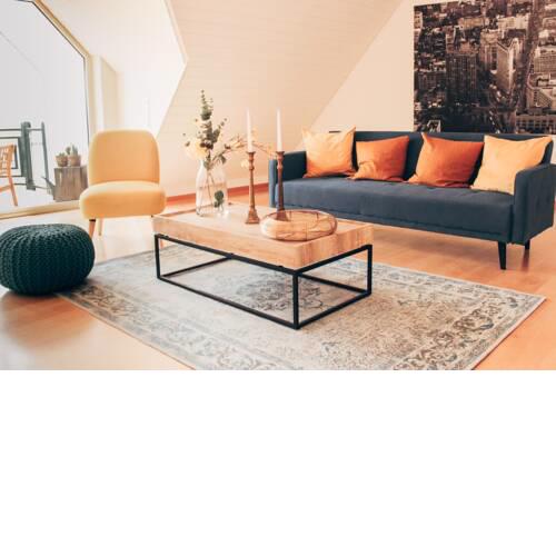 Rheinloft 3 - Große Giebelwohnung mit Dachterrassen an der Rheinpromenade