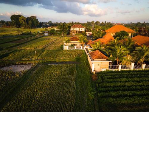 Rice field view Villa, Pool & Kitchen, 2 bedroom