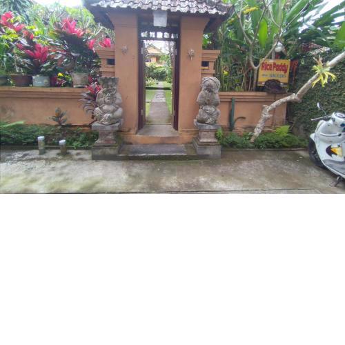 Rice paddy bungalow