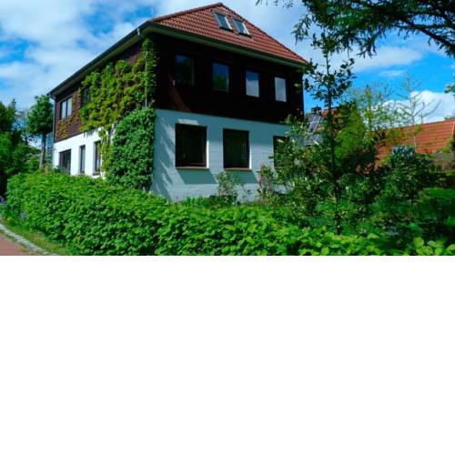 Rieger FW 2 - [#15167]