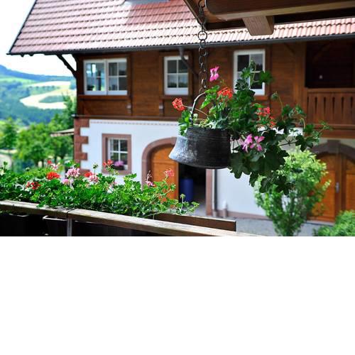 Riehle Hof