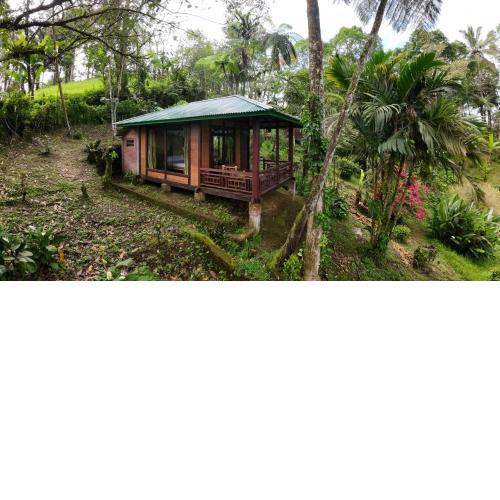 Rimba eco Resort