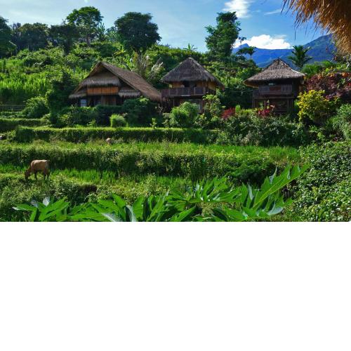 Rinjani Mountain Garden