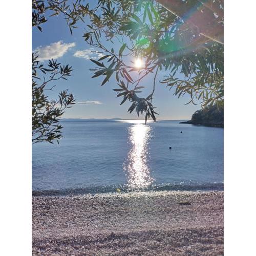 Robinson accommodation and camping spots "Maslina"- cove Skozanje, island Hvar