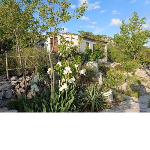Robinson Haus PanoramA